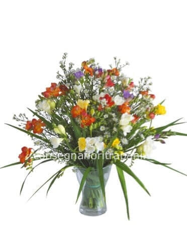 Bouquet di fresie assortite.