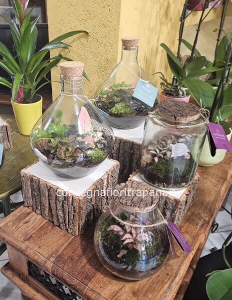 Terrarium